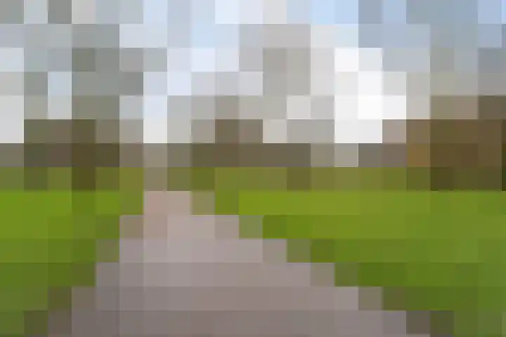 Statenweg 7 C Rotterdam thumbnail 34