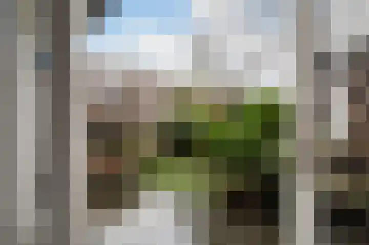 Statenweg 72 A Rotterdam thumbnail 21