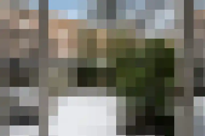 Statenweg 72 A Rotterdam thumbnail 22