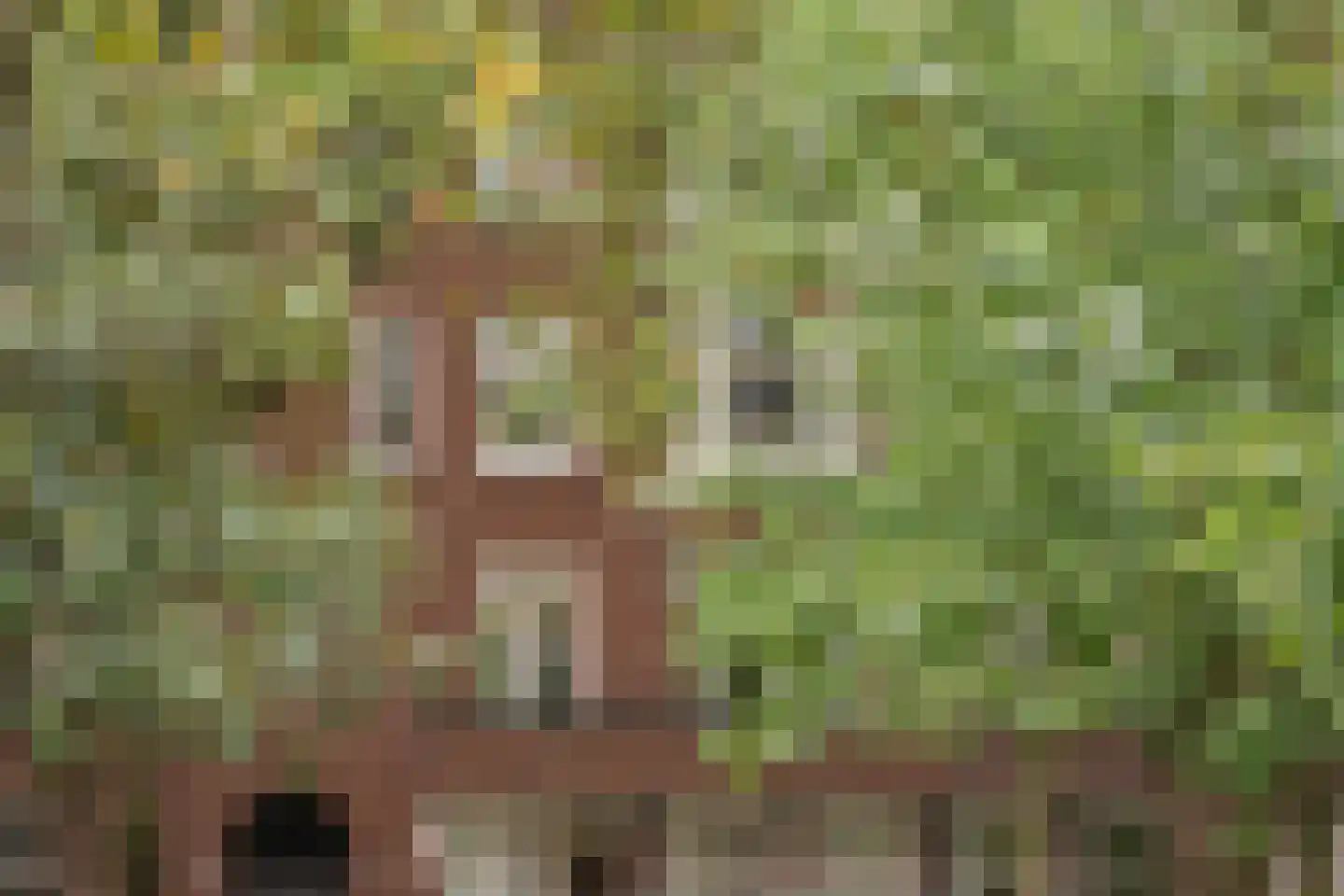 Statenweg 73 B Rotterdam thumbnail 46