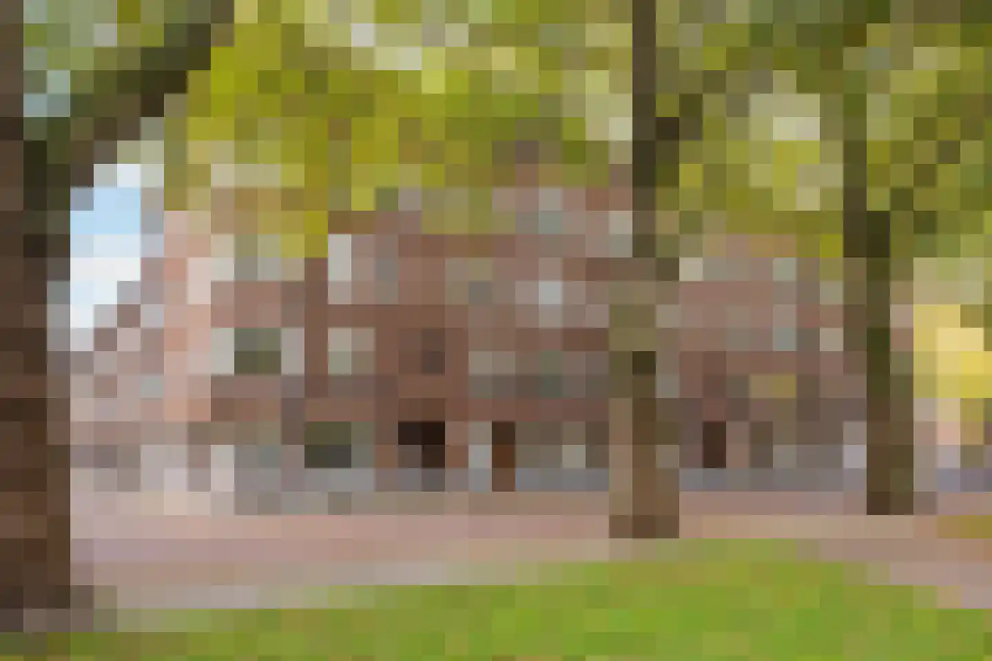Statenweg 73 B Rotterdam thumbnail 47