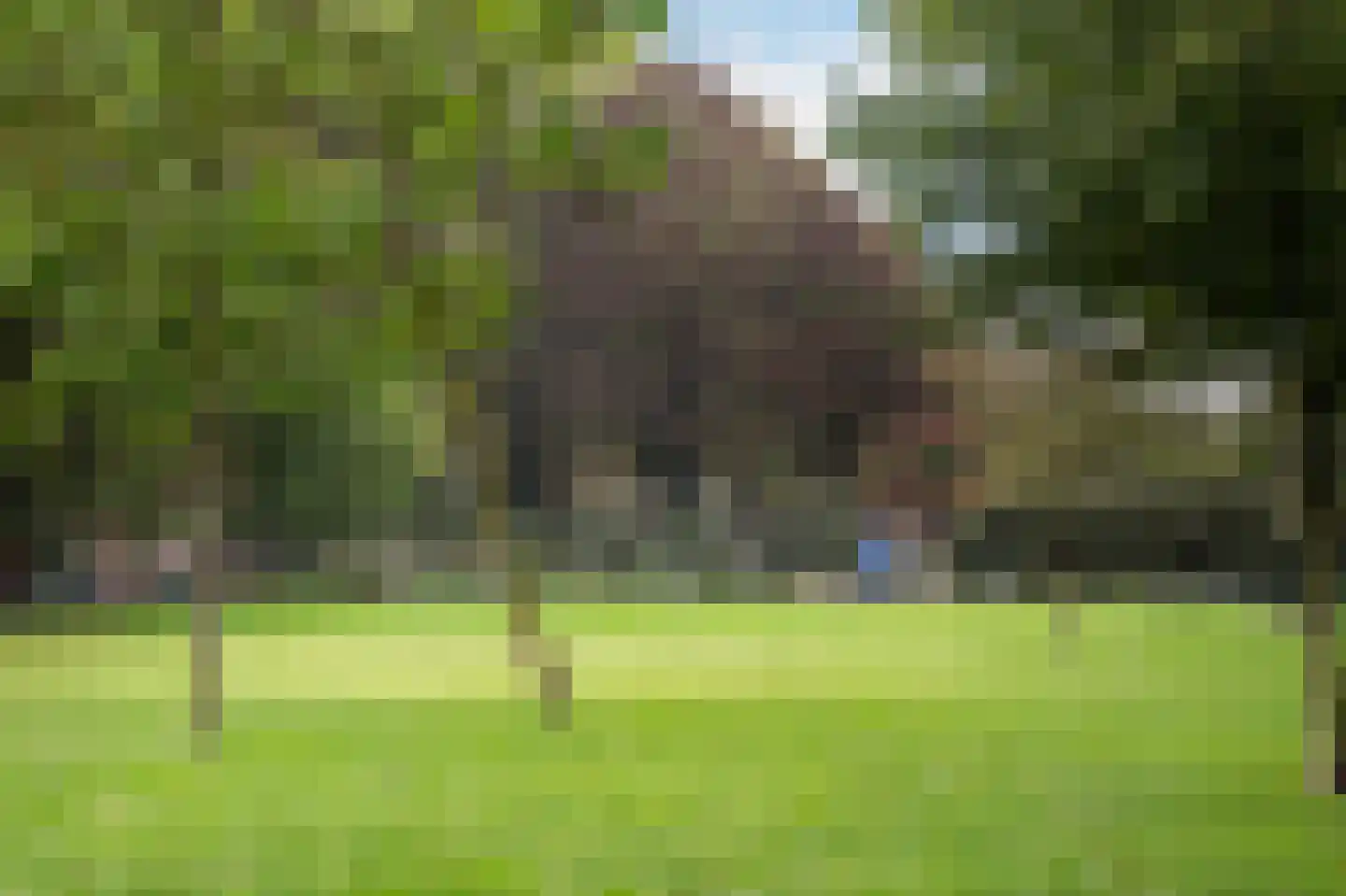 Statenweg 73 B Rotterdam thumbnail 50