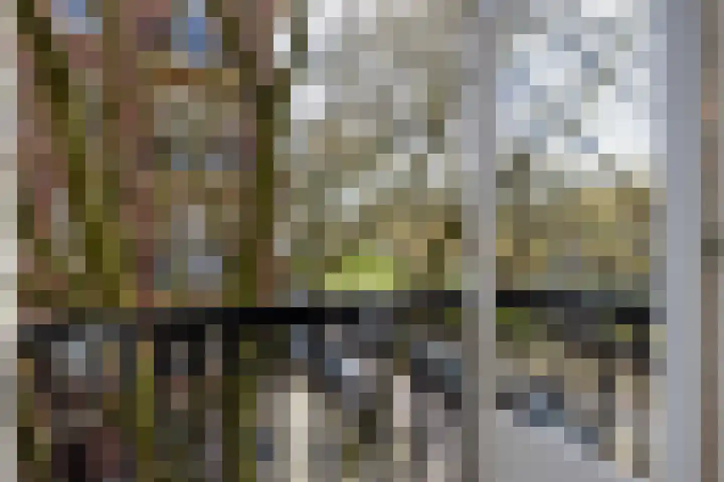 Statenweg 74 A Rotterdam thumbnail 4