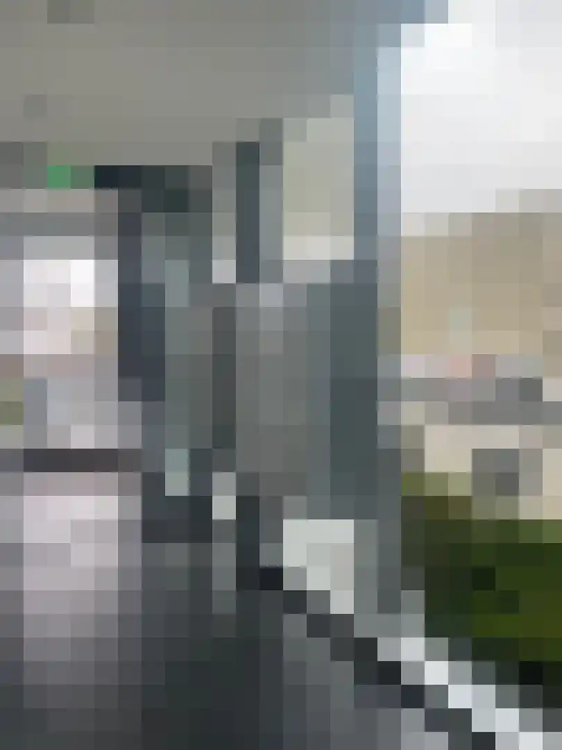 Statietjalk 20 Bergen op Zoom thumbnail 4