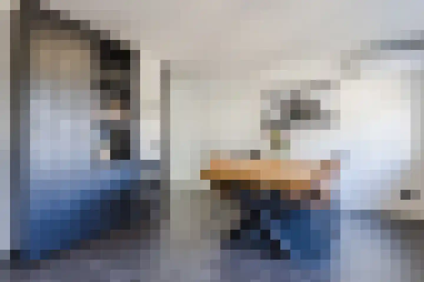 Statietjalk 33 Bergen op Zoom thumbnail 15