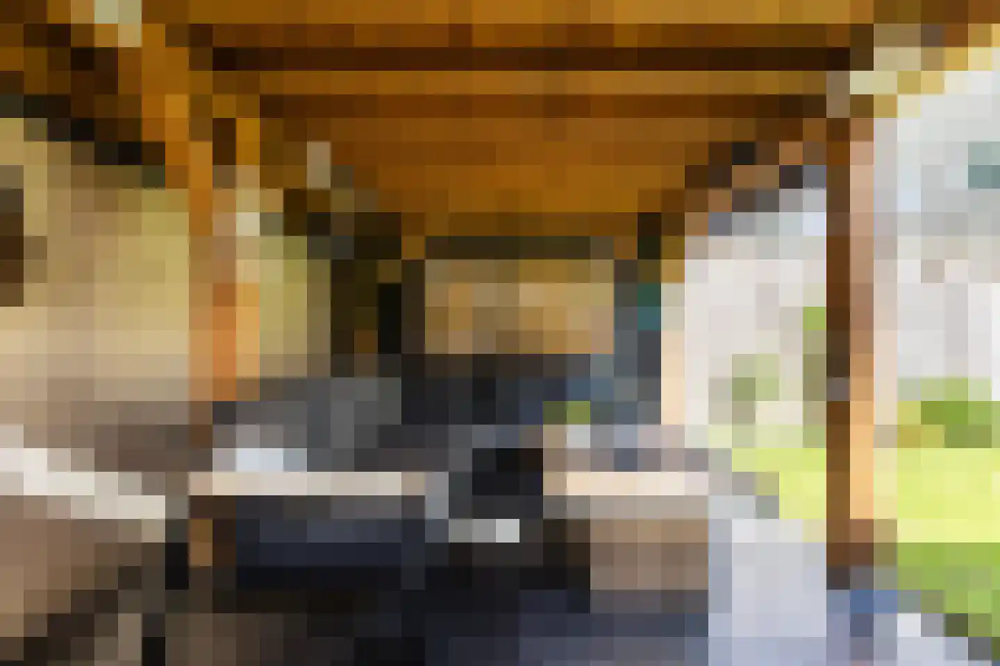Statietjalk 33 Bergen op Zoom thumbnail 29