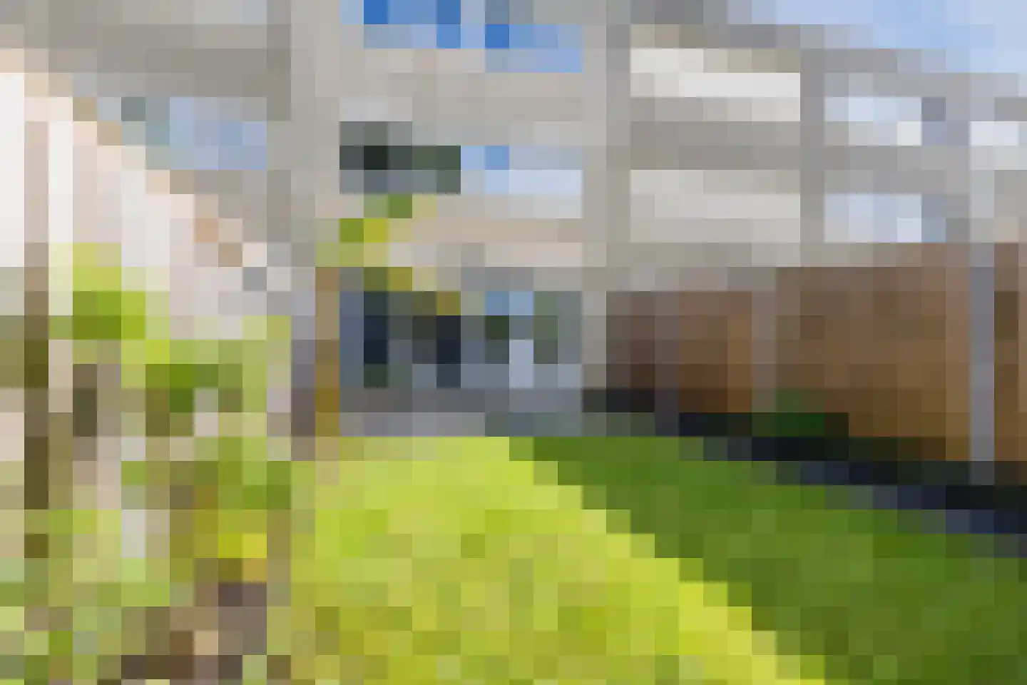 Statietjalk 33 Bergen op Zoom thumbnail 30