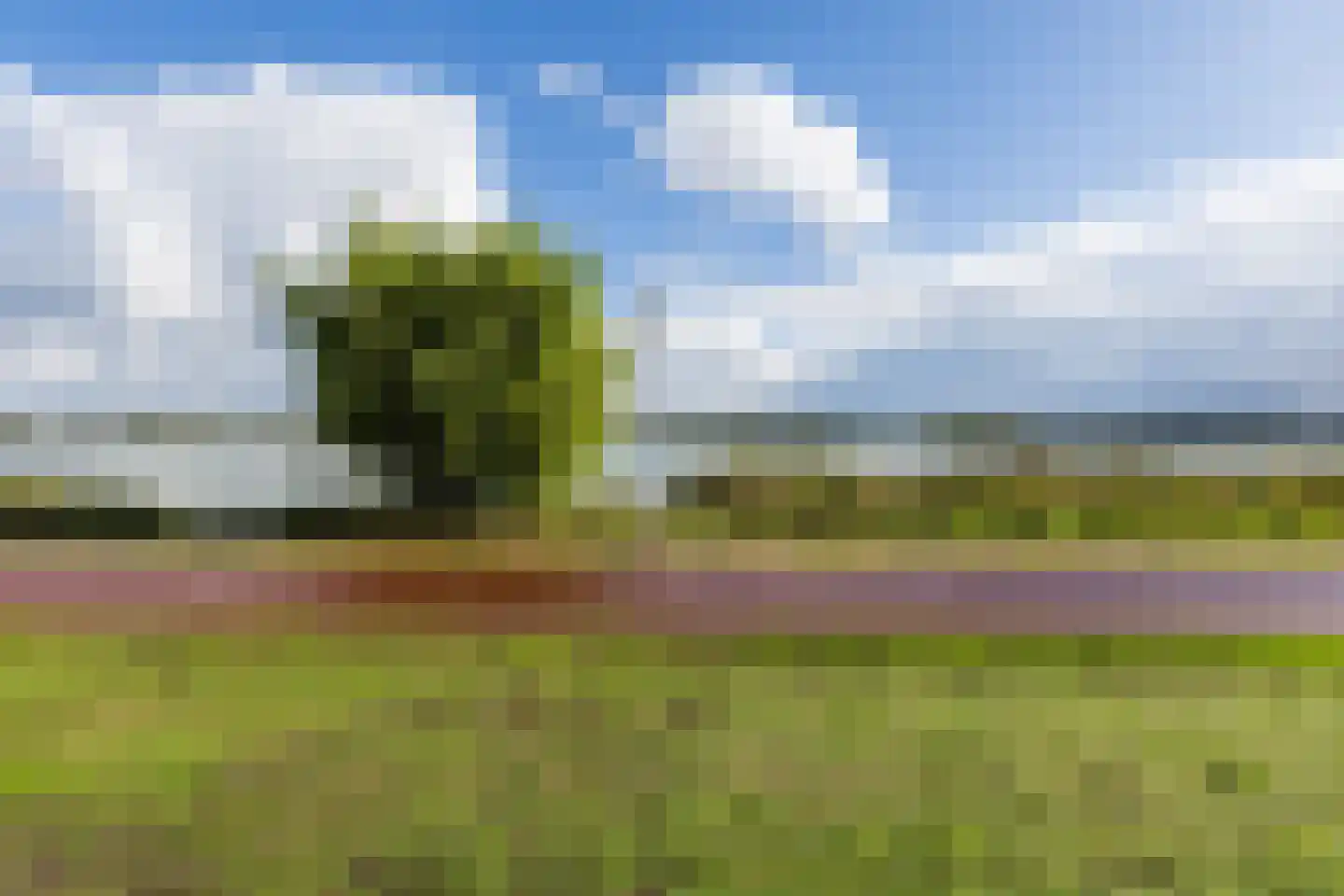 Statietjalk 33 Bergen op Zoom thumbnail 35