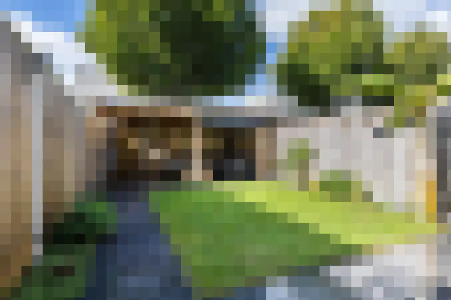 Statietjalk 33 Bergen op Zoom thumbnail 6