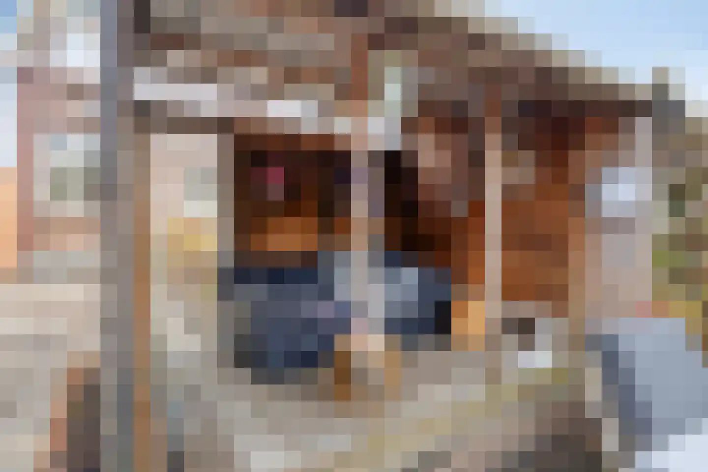 Stationsbuurt 29 Capelle aan den IJssel thumbnail 36