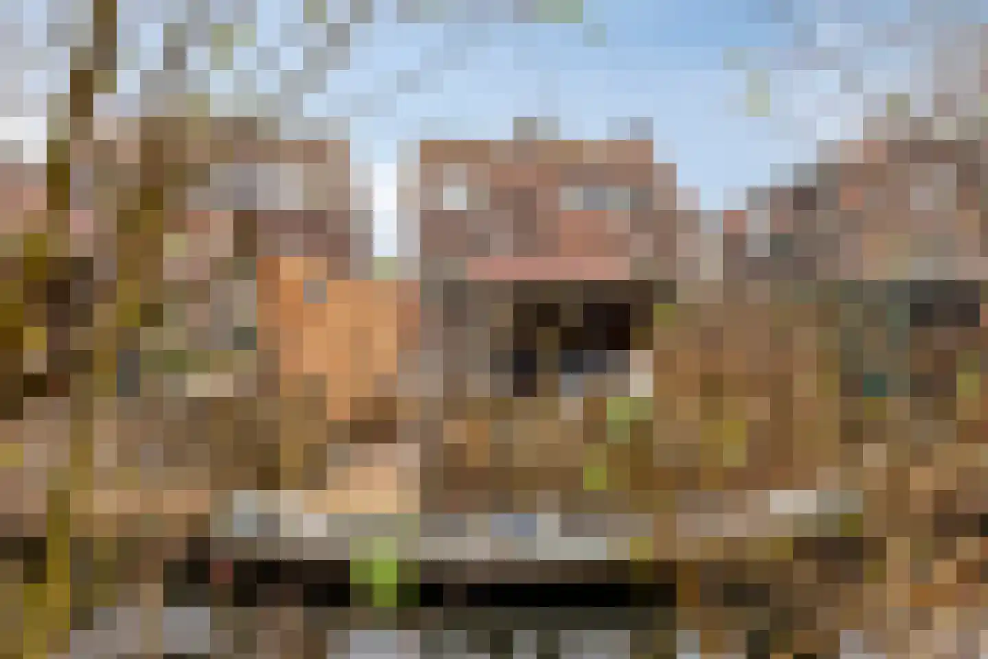 Stationsbuurt 29 Capelle aan den IJssel thumbnail 5
