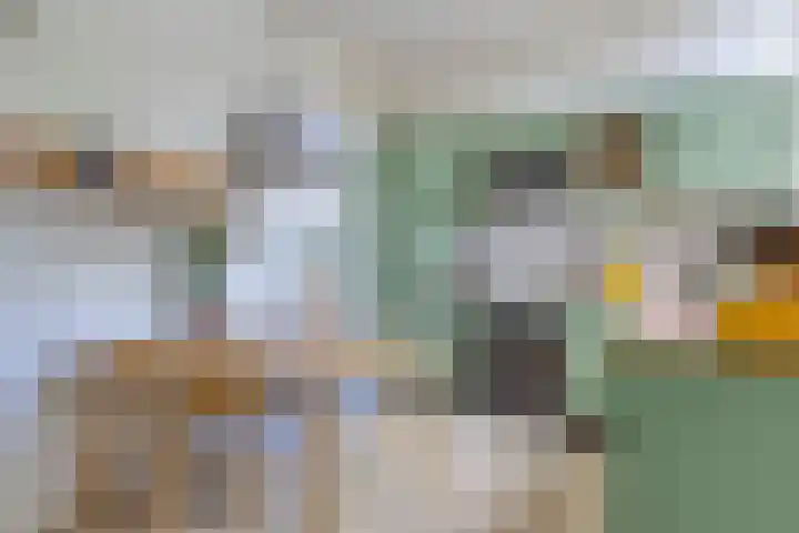 Stationsbuurt 31 Capelle aan den IJssel thumbnail 22