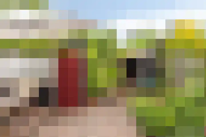 Stationsbuurt 31 Capelle aan den IJssel thumbnail 38
