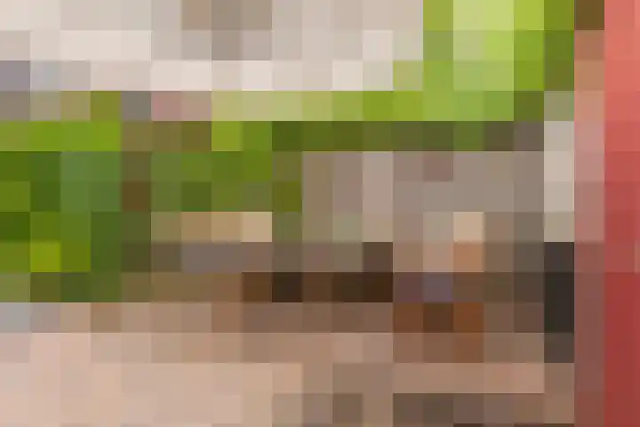 Stationsbuurt 31 Capelle aan den IJssel thumbnail 41