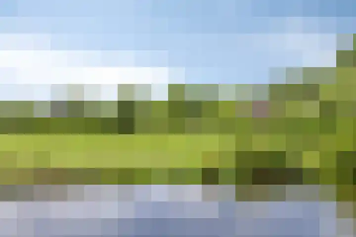 Stationsbuurt 31 Capelle aan den IJssel thumbnail 45