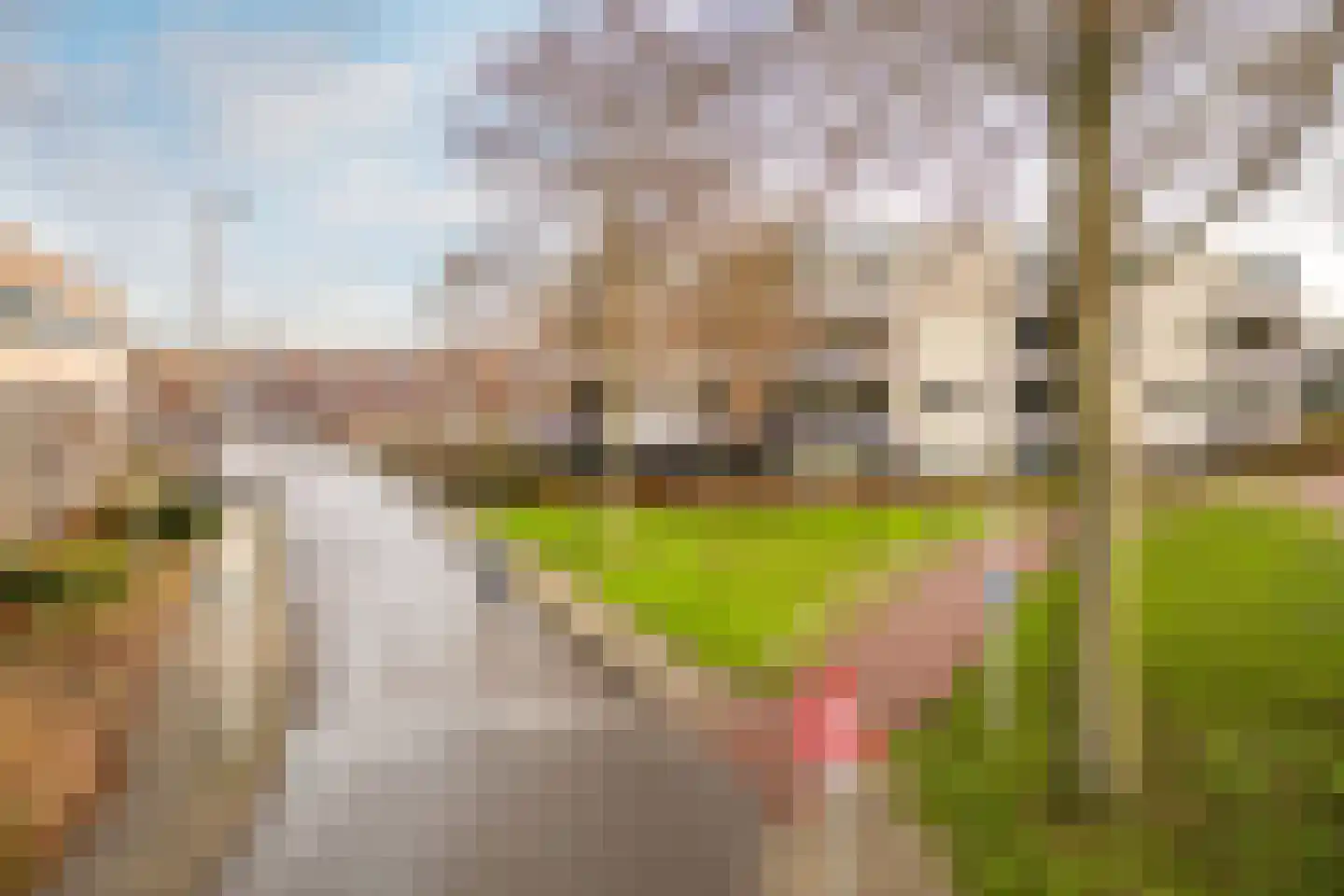 Stationsdreef 1 a Nieuwerkerk aan den IJssel thumbnail 23