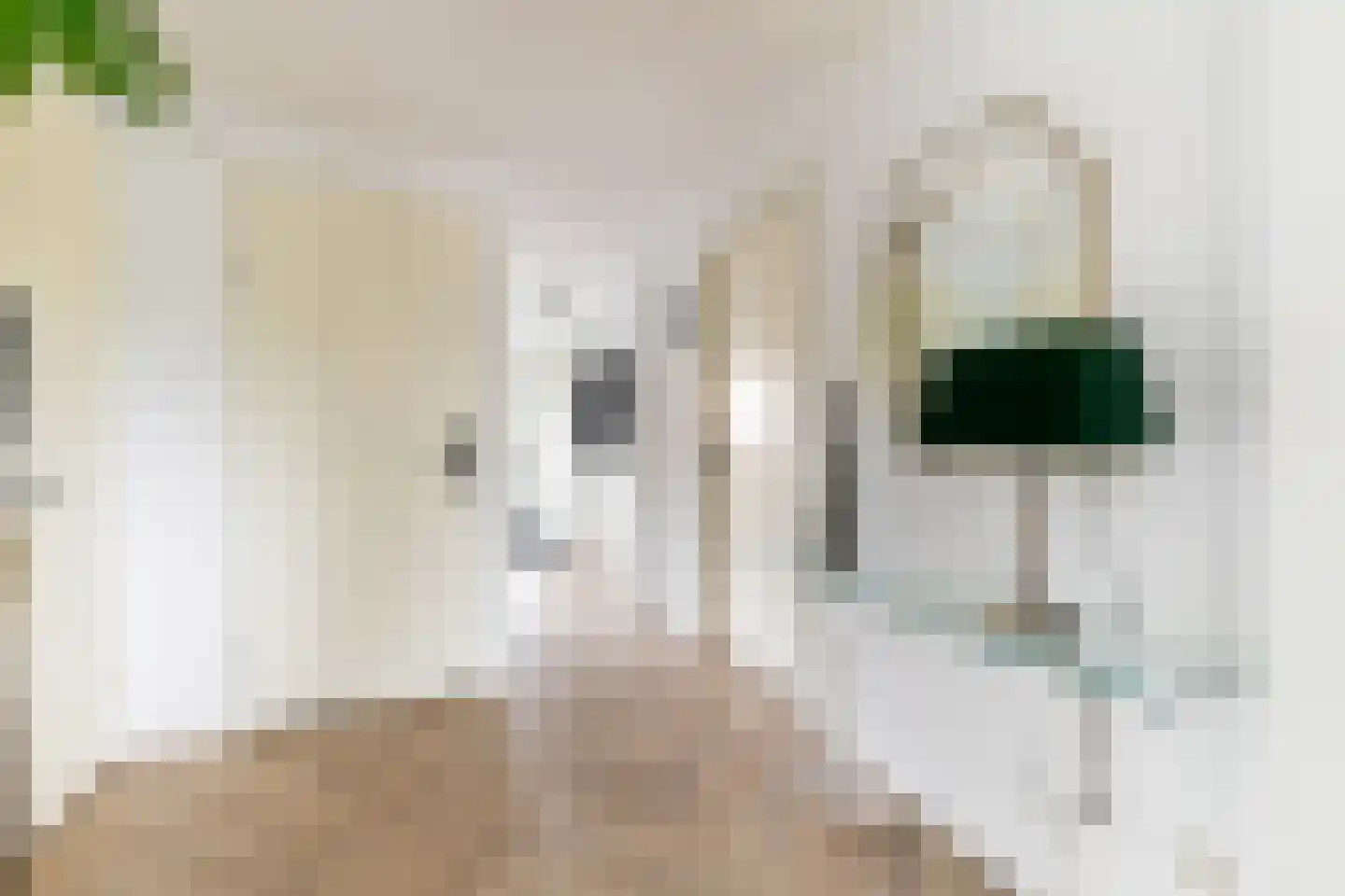Stationsdreef 1 a Nieuwerkerk aan den IJssel thumbnail 7