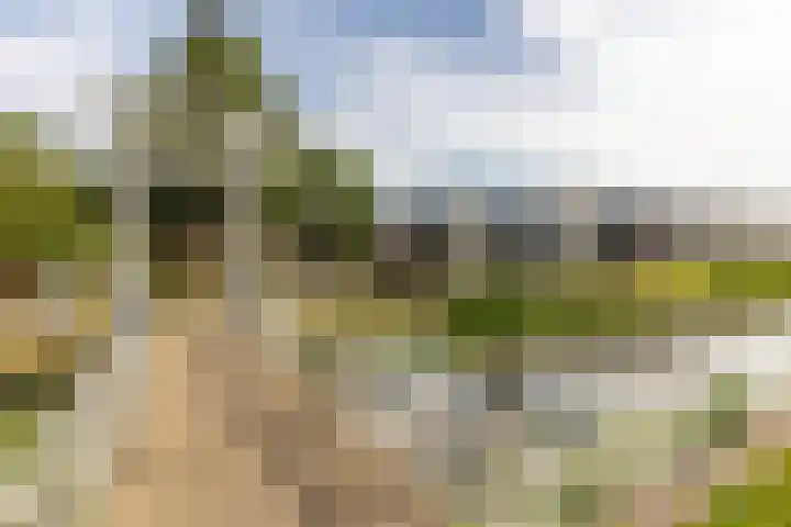 Stationsdreef 26 Nieuwerkerk aan den IJssel thumbnail 30