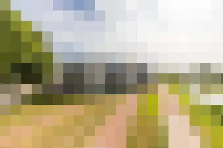 Stationsdreef 26 Nieuwerkerk aan den IJssel thumbnail 6