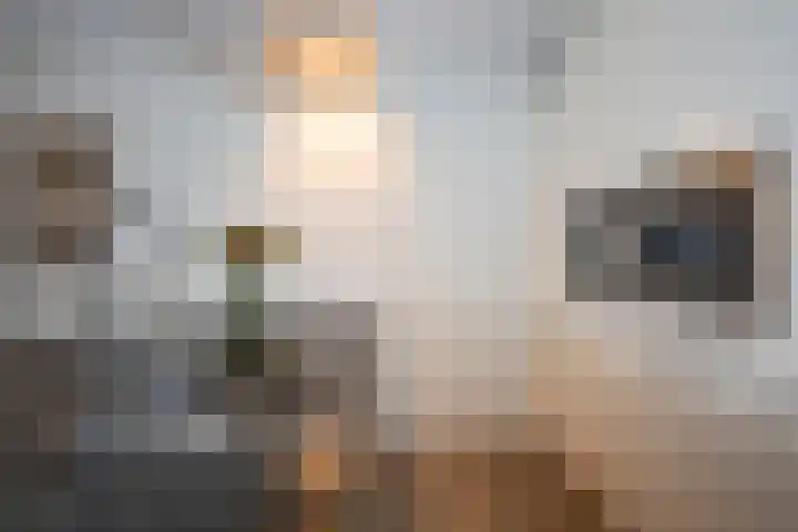 Stationsdwarsweg 15 203 Rijssen thumbnail 16