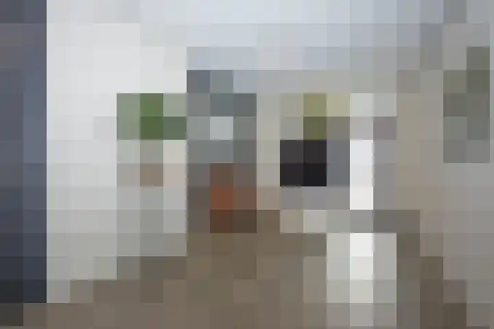 Stationsdwarsweg 15 203 Rijssen thumbnail 29