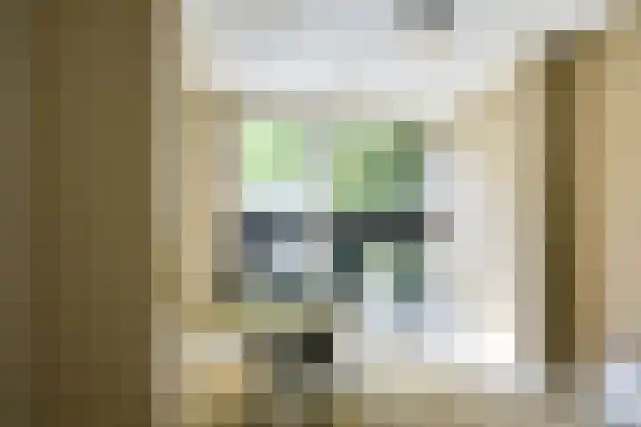 Stationserf 4 Houten thumbnail 21