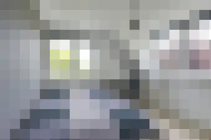 Stationserf 4 Houten thumbnail 44