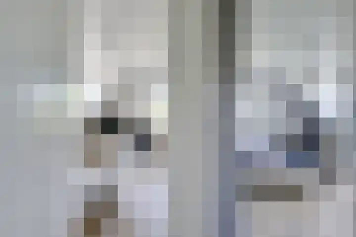 Stationserf 4 Houten thumbnail 45