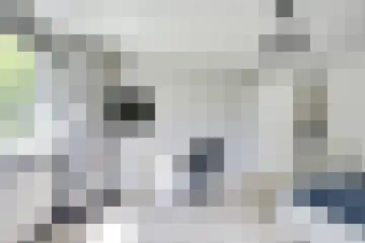 Stationserf 4 Houten thumbnail 52