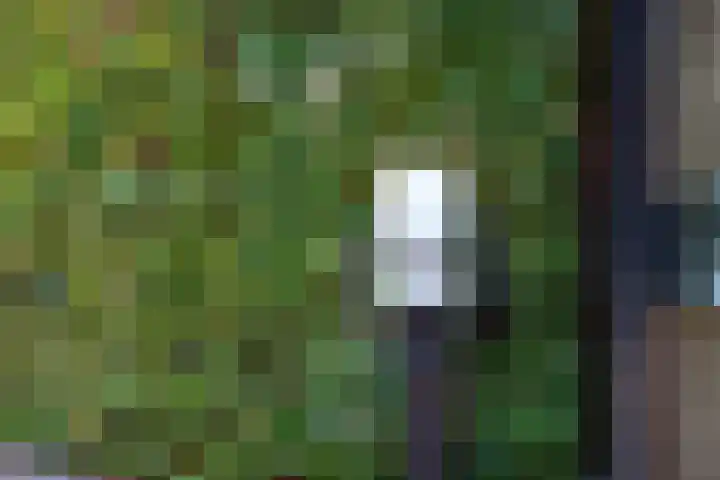 Stationserf 4 Houten thumbnail 63