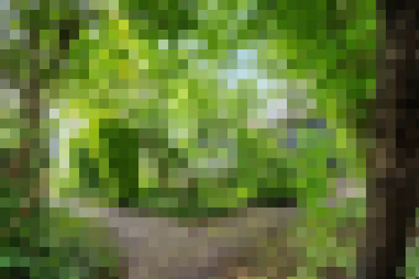 Stationserf 66 Houten thumbnail 36