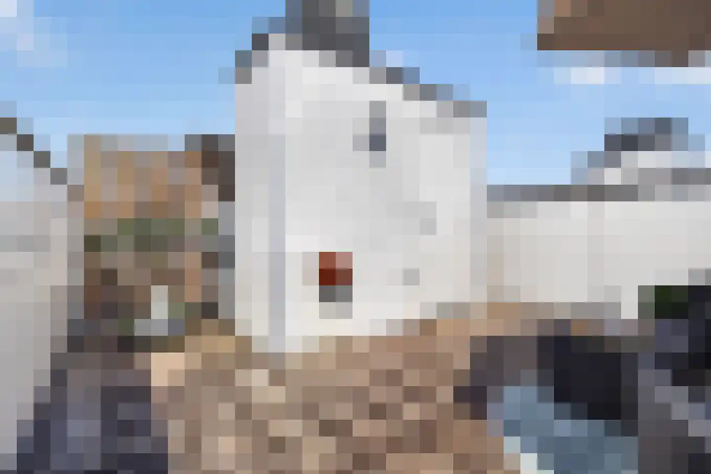 Stationskwartier 20 Valkenswaard thumbnail 33