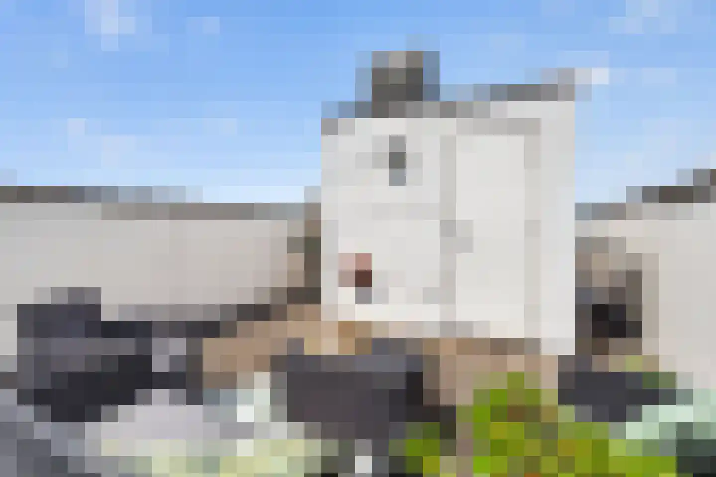 Stationskwartier 20 Valkenswaard thumbnail 34