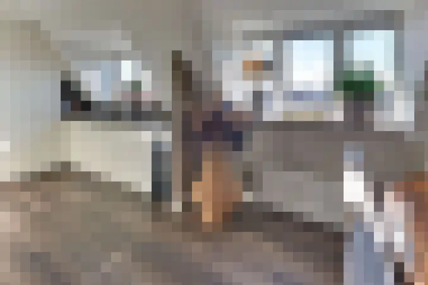 Stationslaan 115 12 Harderwijk thumbnail 26