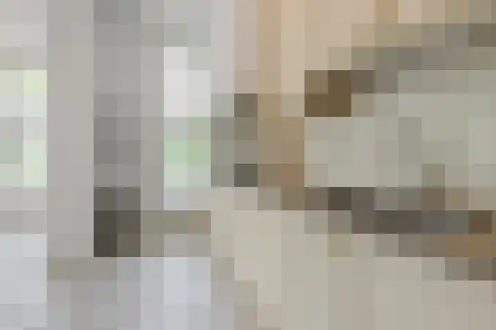 Stationslaan 115 2 Harderwijk thumbnail 15