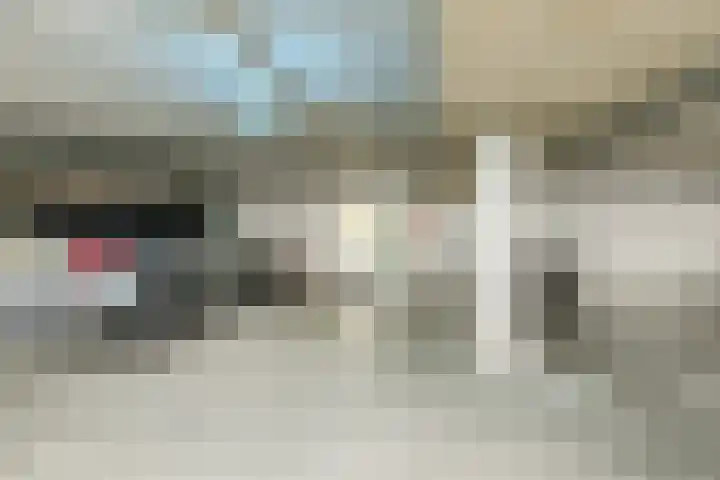 Stationslaan 115 2 Harderwijk thumbnail 28
