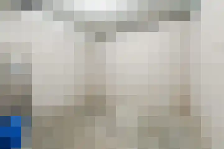 Stationslaan 115 2 Harderwijk thumbnail 29
