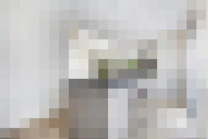 Stationslaan 1210 Breda thumbnail 18