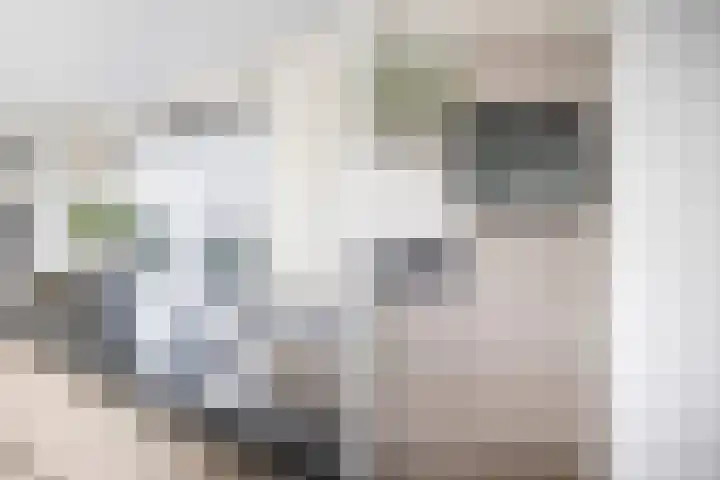 Stationslaan 1210 Breda thumbnail 19