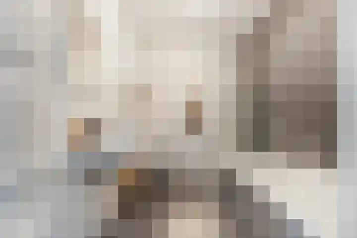 Stationslaan 1210 Breda thumbnail 49