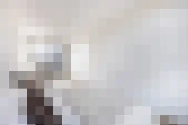 Stationslaan 1210 Breda thumbnail 57