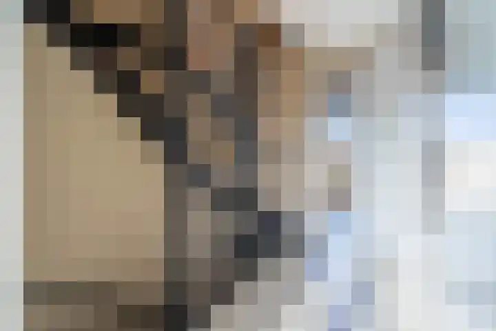 Stationslaan 1234 Breda thumbnail 29
