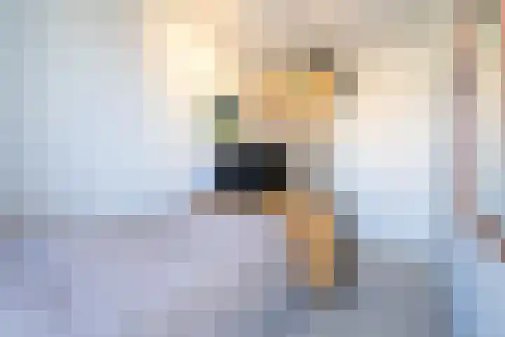 Stationslaan 1234 Breda thumbnail 43