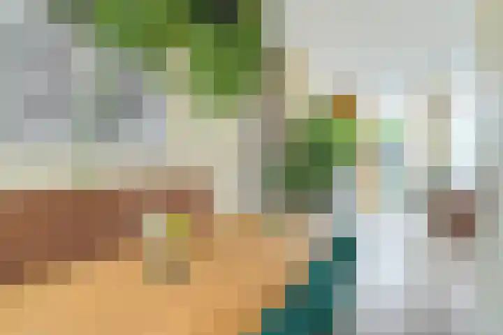 Stationslaan 1236 Breda thumbnail 15