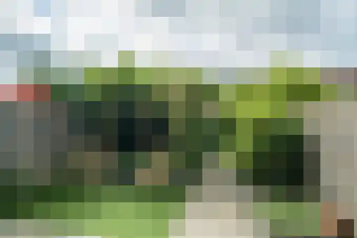Stationslaan 1236 Breda thumbnail 28