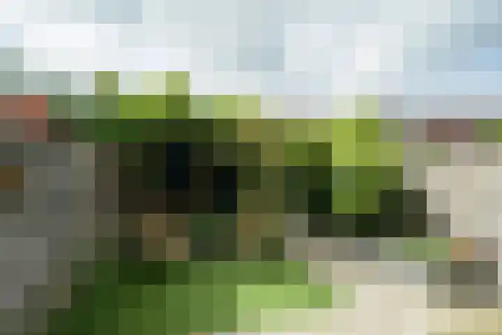 Stationslaan 1236 Breda thumbnail 29