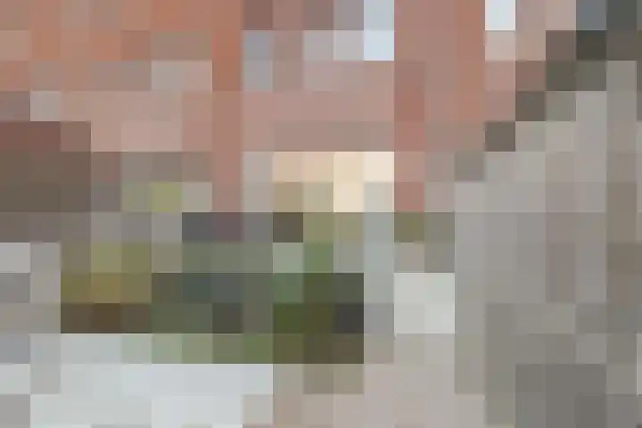 Stationslaan 13 Breda thumbnail 19