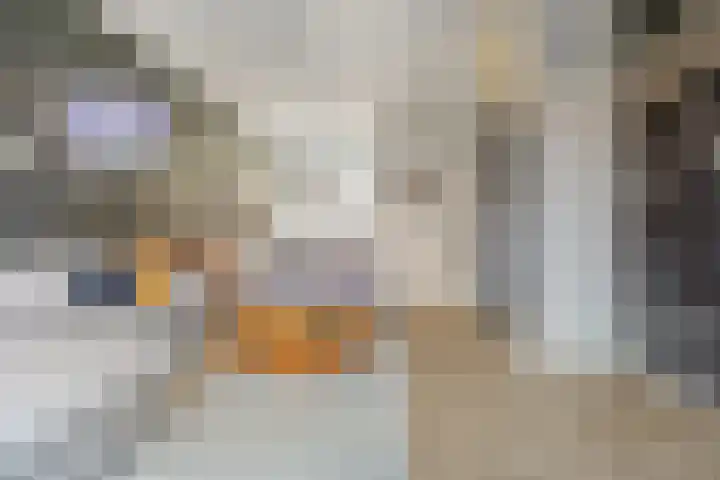 Stationslaan 13 Breda thumbnail 4