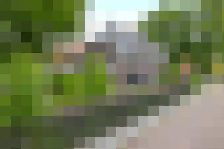 Stationslaan 13 Stadskanaal thumbnail 10