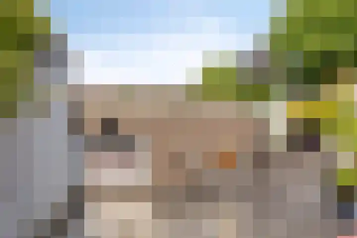 Stationslaan 14 Goor thumbnail 29